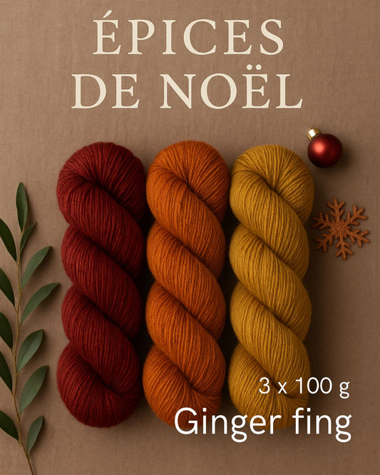 Epices de Noël (Ginger Fing)