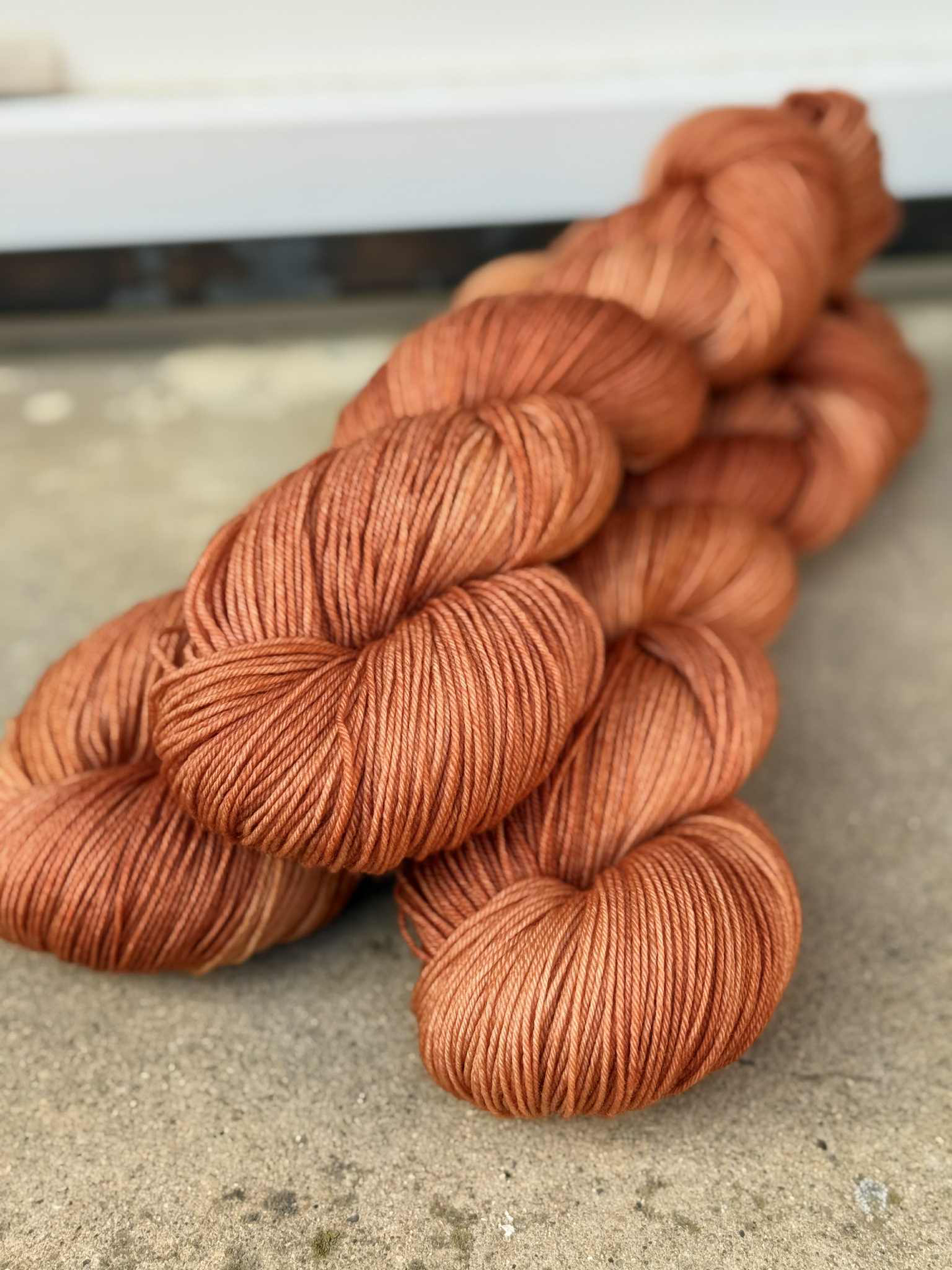 Clotaire (Ginger Fing)